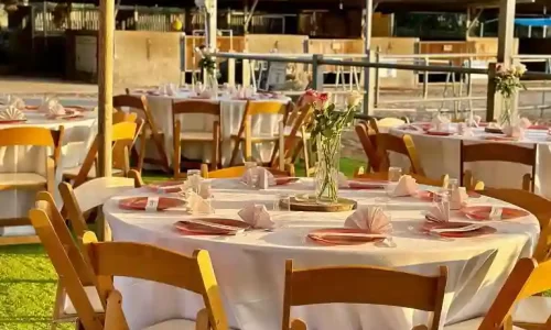 חוות הסוסים בלטרון 2