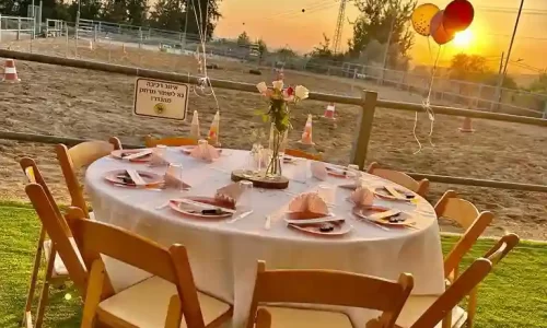 חוות הסוסים בלטרון 3