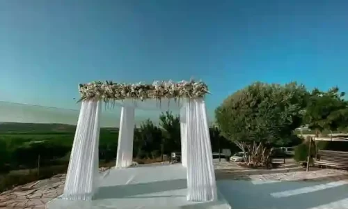 חוות הסוסים בלטרון 4