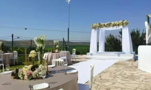 חוות הסוסים בלטרון 7