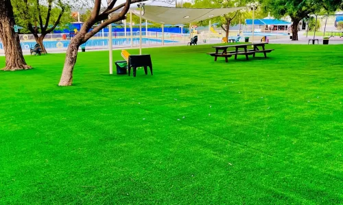 בריכת כפר דניאל בריכה עם מדשאות