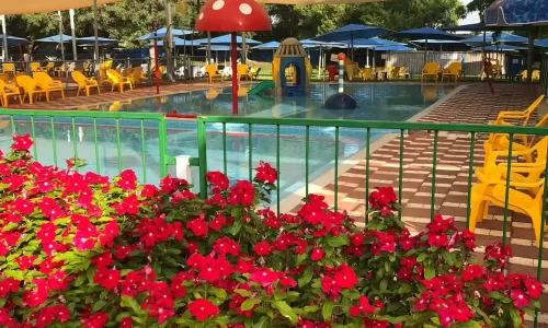 הבריכה בחגור ימי הולדת