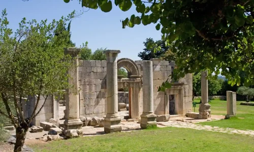 בר מצווה בטבע