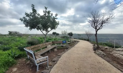 הצעת נישואין בטבע