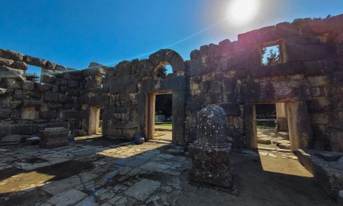 הצעת נישואין בטבע