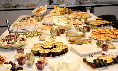 וילה עם מטבח כשר בדרום