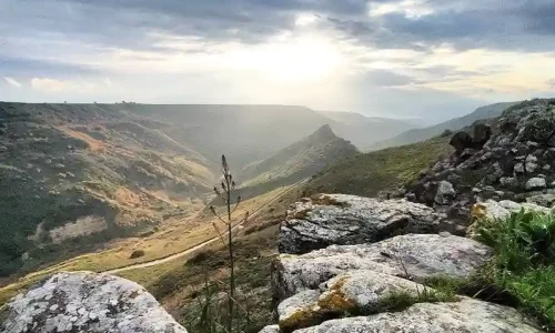 חופה בטבע בצפון