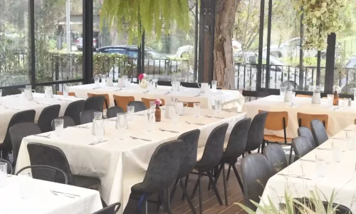 חתונה כשרה בפרדס חנה