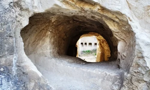 טקס משפחתי בקיץ בחוץ