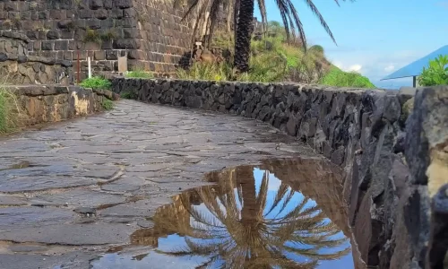 אירוע בטבע עד 100 איש