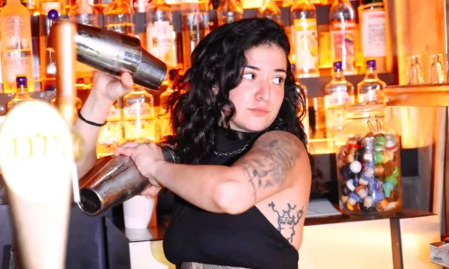 אירועי בוטיק עד 300 איש