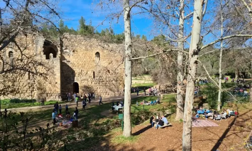 אירועים בטבע ליד ירושלים
