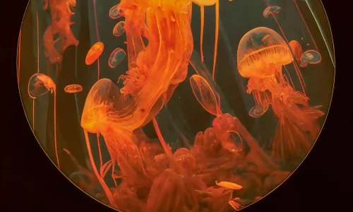 אירועים במסעדה בתל אביב עד 100 איש