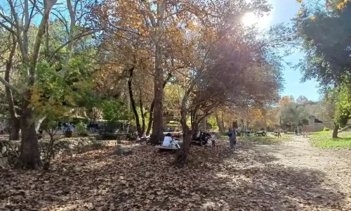 בר מצווה בטבע במרכז