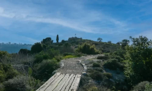 בר מצווה בטבע עד 250 איש