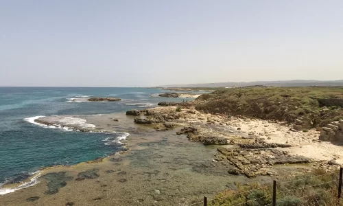 בר מצווה על חוף הים עד 200 איש