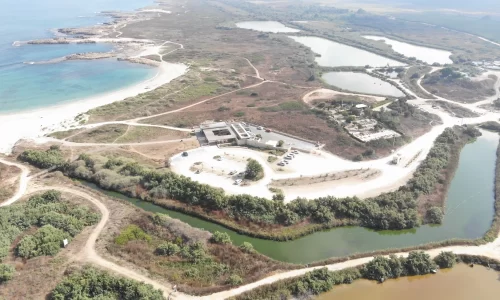 הצעת נישואין בחוף הים בצפון