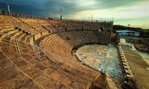 הצעת נישואין בטבע