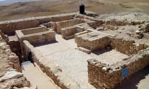 הצעת נישואין בטבע בדרום