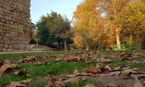 הצעת נישואין בטבע במרכז