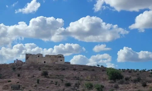 הצעת נישואין בטבע במרכז