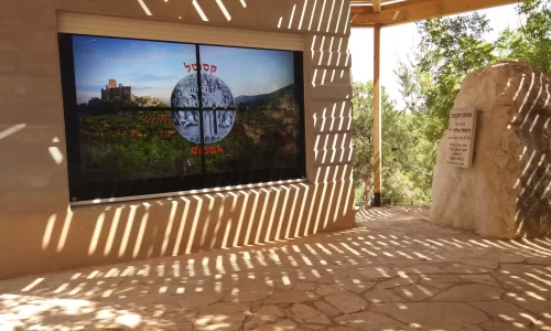 הצעת נישואין בטבע ליד ירושלים