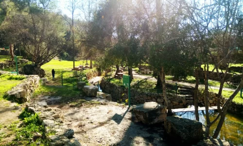 הצעת נישואין בטבע ליד ירושלים