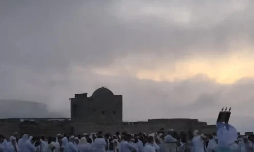 הצעת נישואין בטבע עם נוף