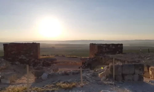 חופה בגן לאומי בדרום