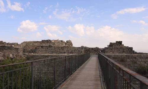 חופה בחוץ בצפון