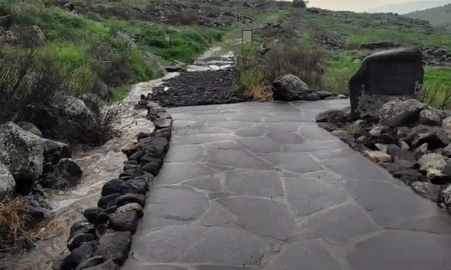 חופה בטבע בגליל