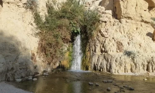 חופה בטבע בדרום