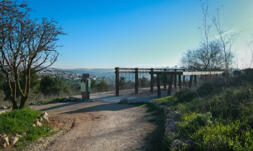 חופה בטבע ליד ירושלים