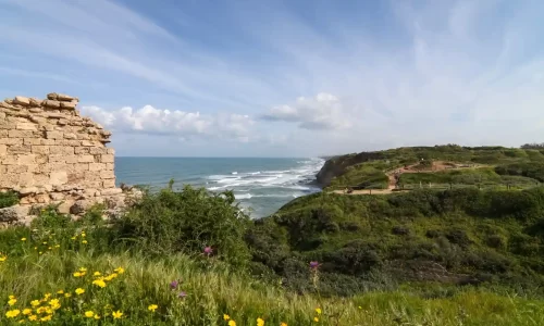 חופה בטבע מול הים