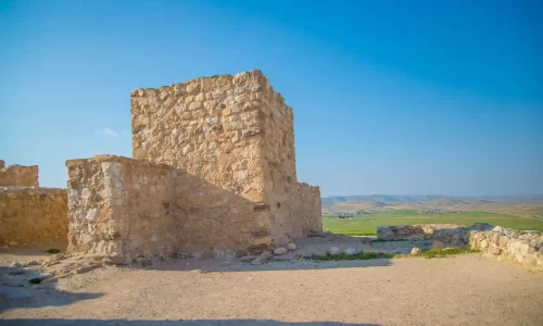 חופה בטבע עד 100 איש