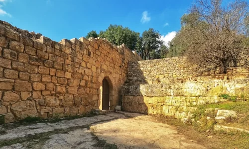 חופה בטבע עד 150 איש