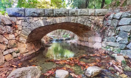 חופה ליד נחל במרכז