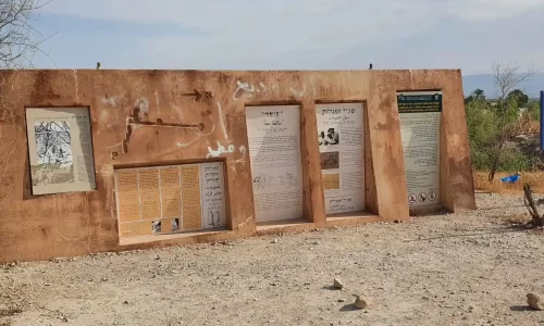 חופה מיוחדת בטבע