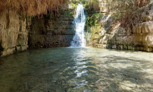 חופה תחת כיפת השמיים
