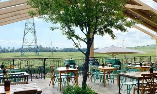 חתונה במסעדה עם חצר