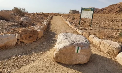 טקס משפחתי בטבע