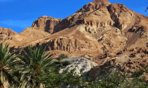 טקסים משפחתיים קטנים בטבע