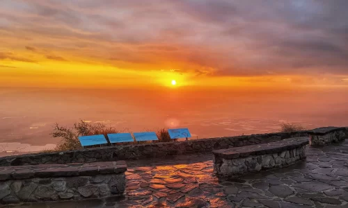 מקום להצעת נישואין בטבע
