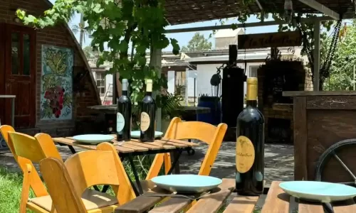 ערב חברה ביקב בצפון