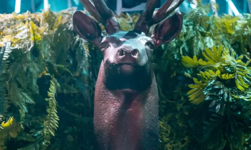 ערב חברה במועדון במרכז