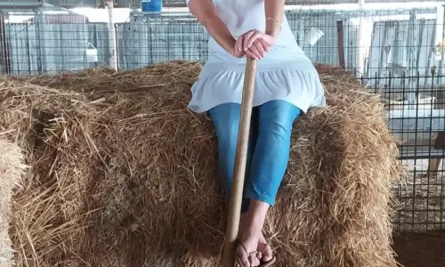 אירוע בשבת במדבר