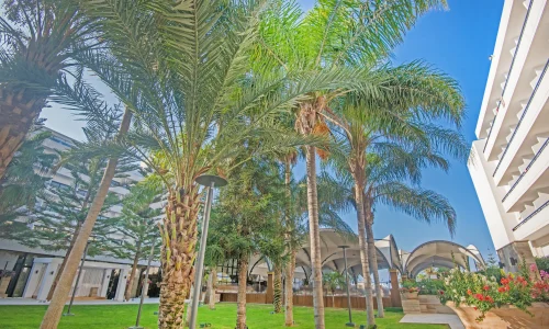 אירוע משפחתי בחול