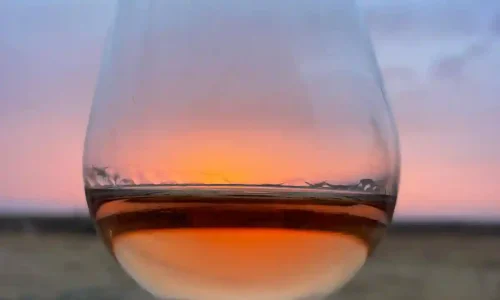 אירוע משפחתי עם לינה