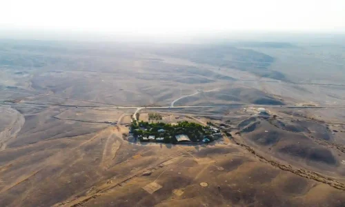 אירועים מיוחדים במדבר