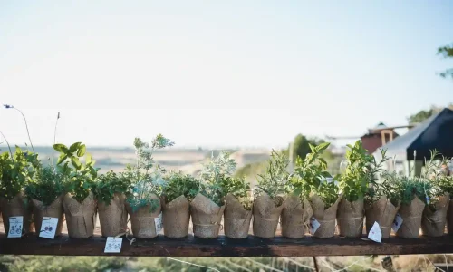 אירועים משפחתיים בדרום